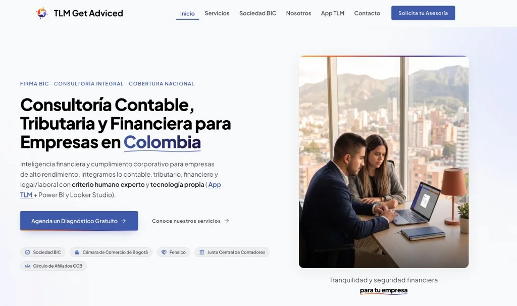 TLM Software